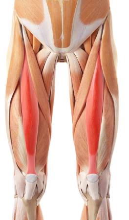 Nos prestations sur le secteur de près de Manosque dans les Alpes-de-Haute-Provence