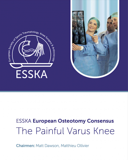 Nos prestations sur le secteur de proche d'Avignon dans le Vaucluse